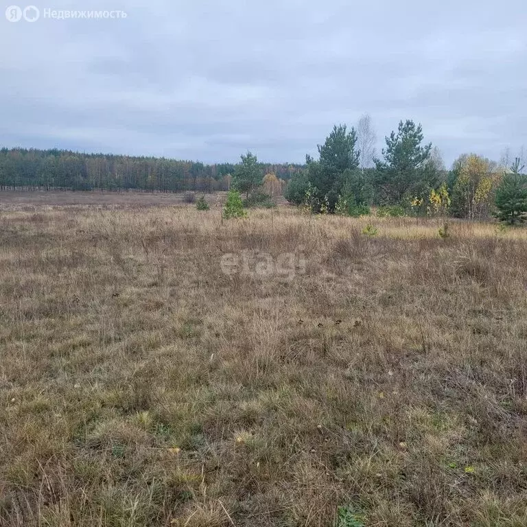 Участок в округ Муром, деревня Коржавино (10.38 м) - Фото 1