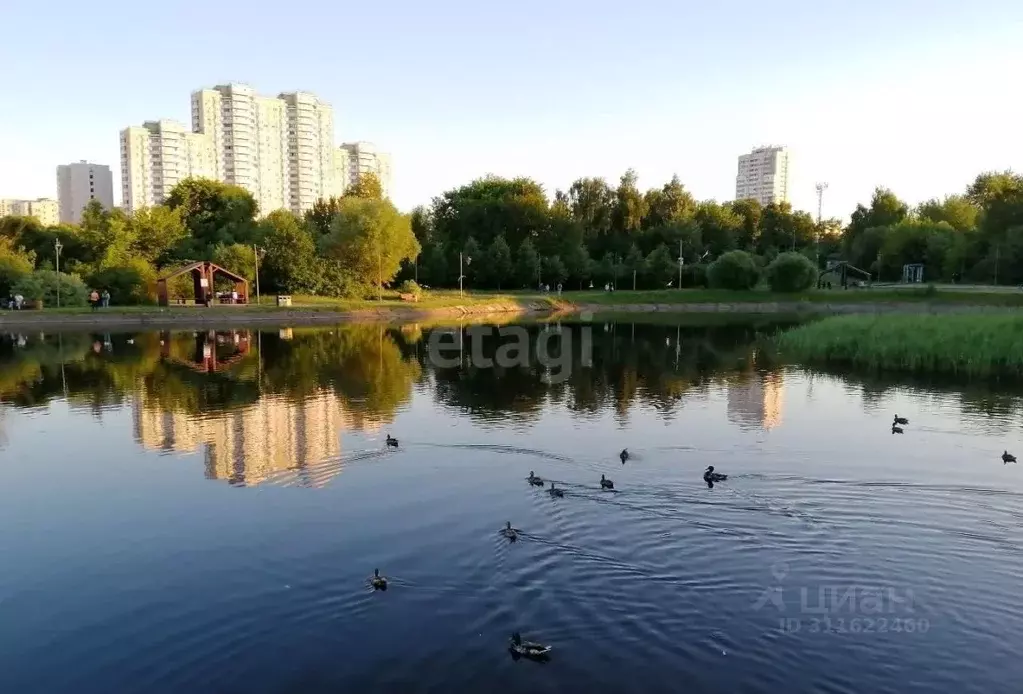 2-к кв. Москва Новгородская ул., 31 (53.1 м) - Фото 0