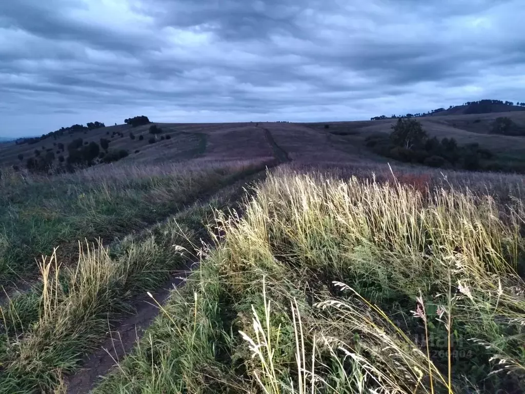 Участок в Алтайский край, Алтайский район, с. Верх-Ая  (6000.0 сот.) - Фото 1