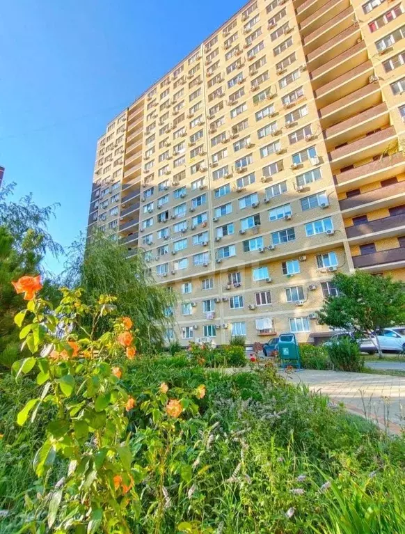 Помещение свободного назначения в Краснодарский край, Анапа ... - Фото 0