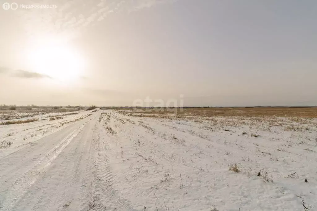 Участок в Красноармейский район, село Канашево (13.7 м) - Фото 1