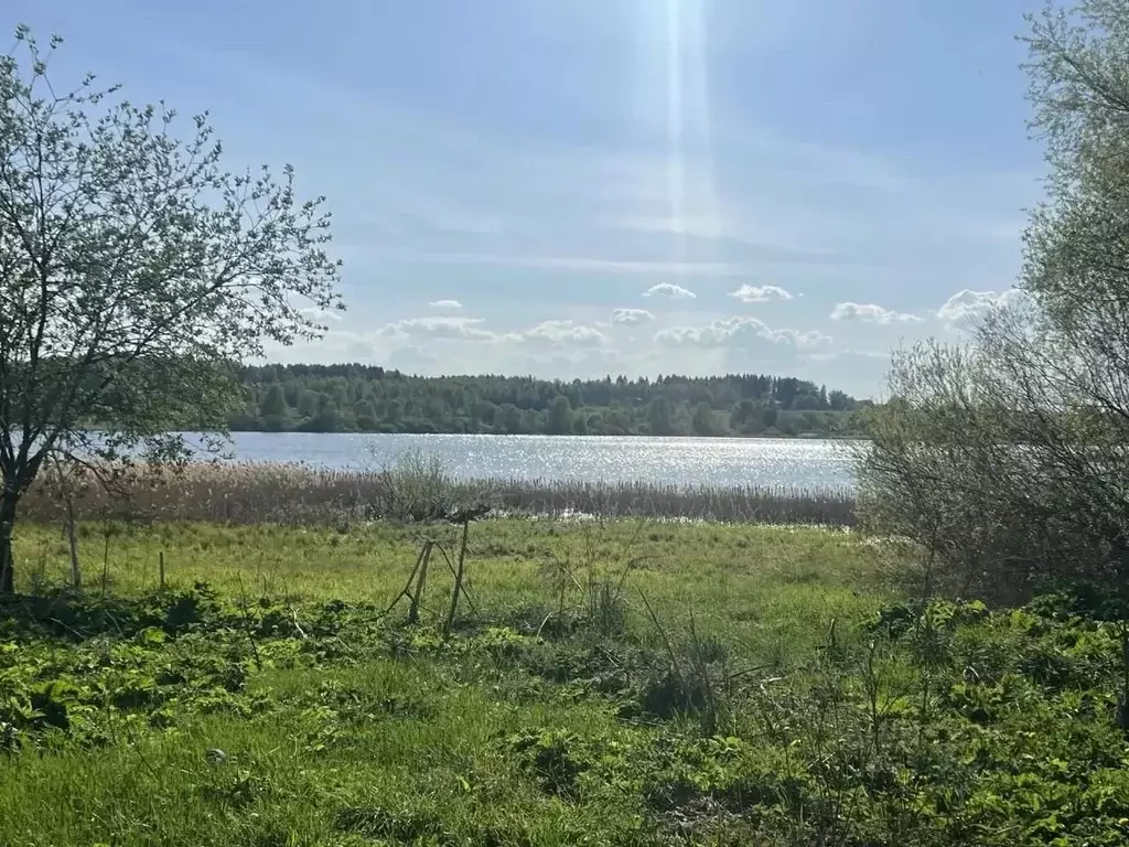 Участок в Московская область, Рузский муниципальный округ, д. ... - Фото 2