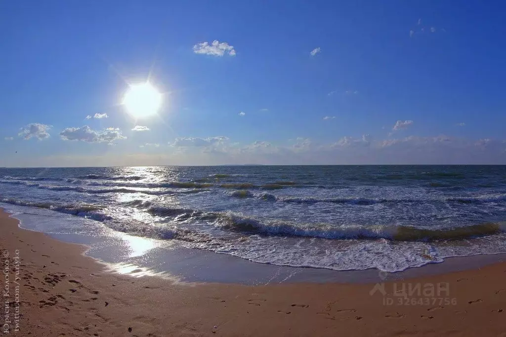 Участок в Крым, Ленинский район, Белинское с/пос, Таврида СТСН ул. ... - Фото 0