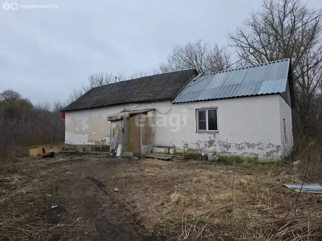 Дом в Чаплыгинский район, Нижняя улица (70 м) - Фото 0