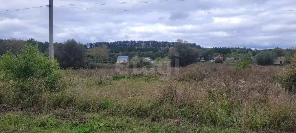 Участок в Мордовия, Саранск городской округ, д. Танеевка ул. ... - Фото 0