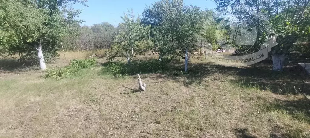 Участок в Ростовская область, Неклиновский район, с. Николаевка, Полет ... - Фото 2