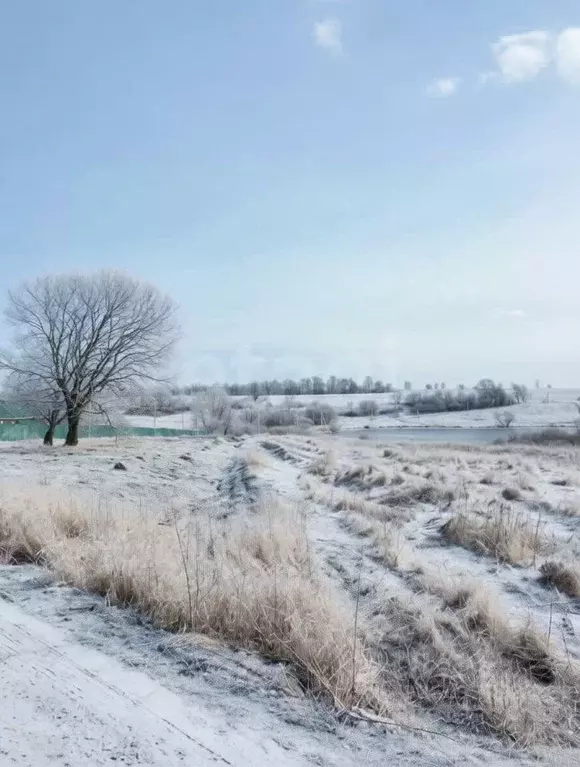 Участок в Тульская область, Тула городской округ, д. Ратово 39 (81.77 ... - Фото 1