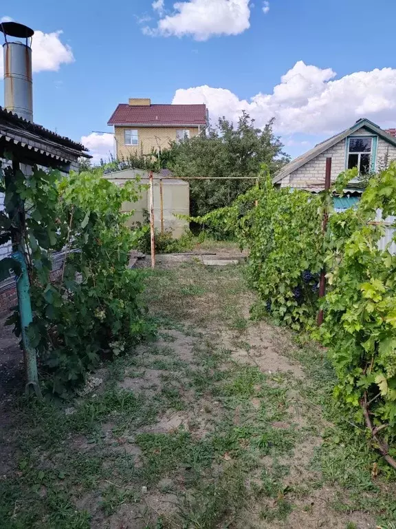 Дом в Волгоградская область, Волгоград Чернышковская ул. (52 м) - Фото 1