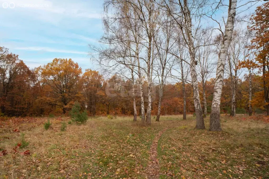 Участок в Калининград, Московский район (7.31 м) - Фото 1