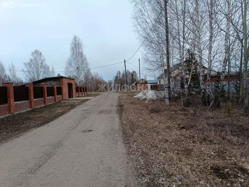 Участок в Томская область, Шегарское сельское поселение, село ... - Фото 1