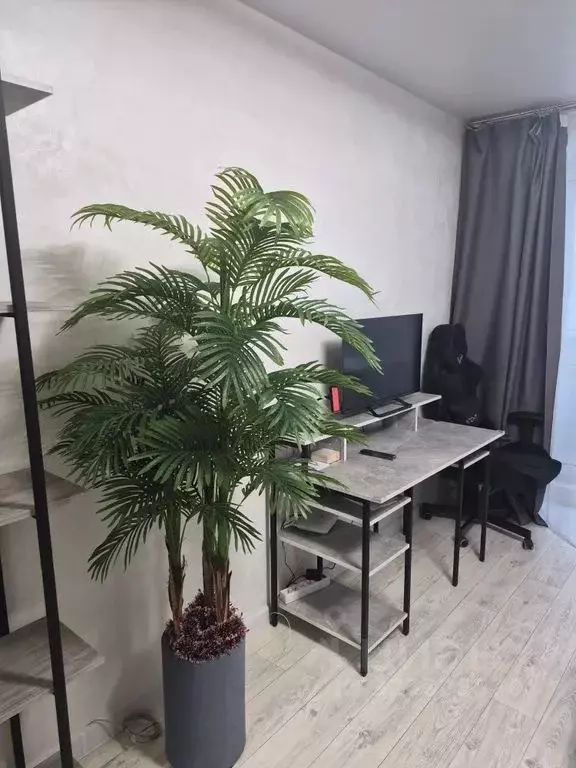 Студия Пермский край, Пермь Подлесная ул., 3А (34.0 м) - Фото 1