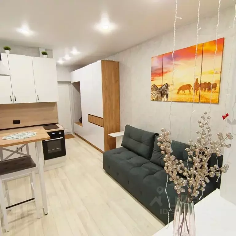 Студия Марий Эл, Медведево городское поселение, Медведево пгт ул. ... - Фото 2