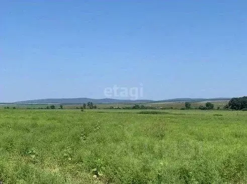 Участок в Краснодарский край, Новороссийск городской округ, ... - Фото 2