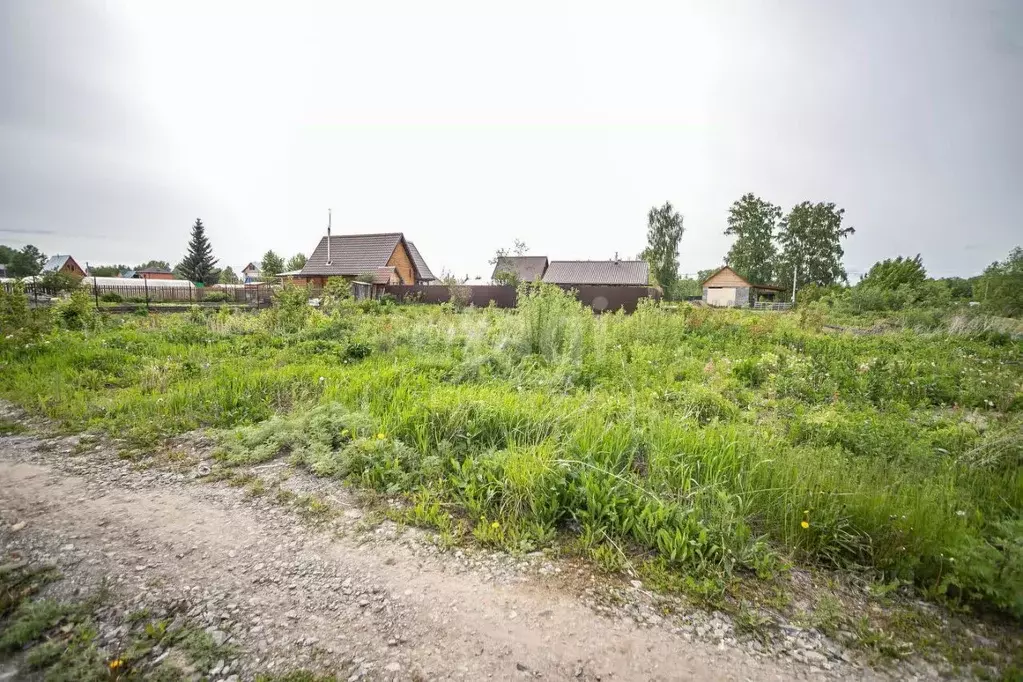 Участок в Новосибирская область, Бердск Слава садовое товарищество, ... - Фото 1