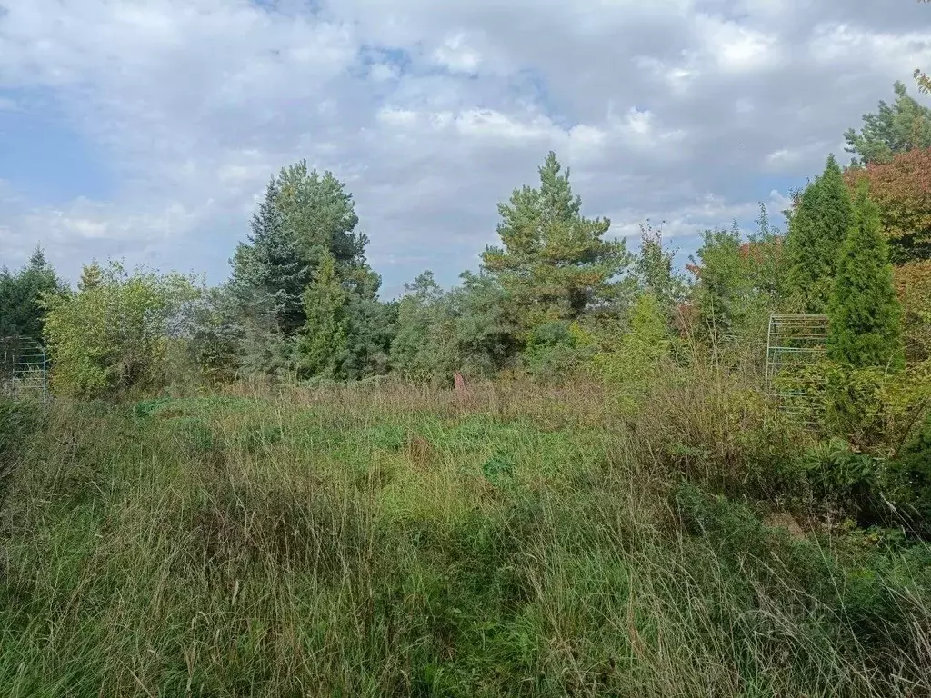 Участок в Новгородская область, Новгородский район, Трубичинское ... - Фото 0