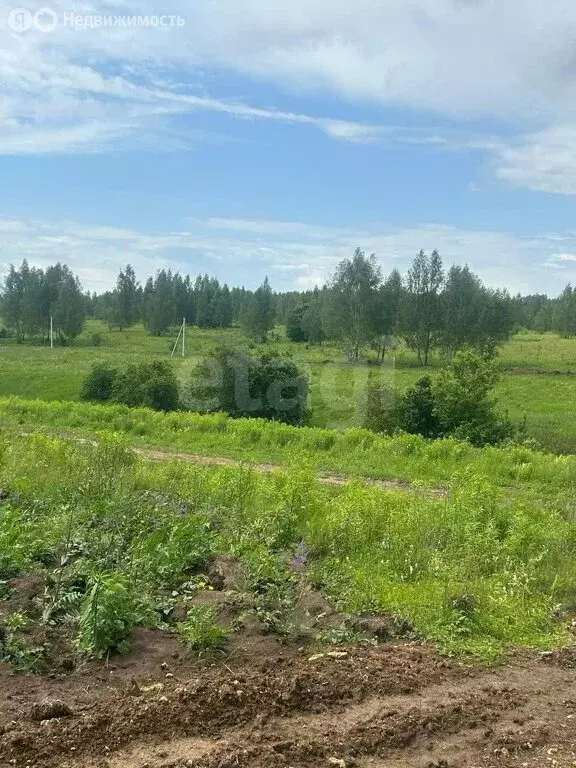 Участок в Тульская область, городской округ Тула, деревня Частинские ... - Фото 1