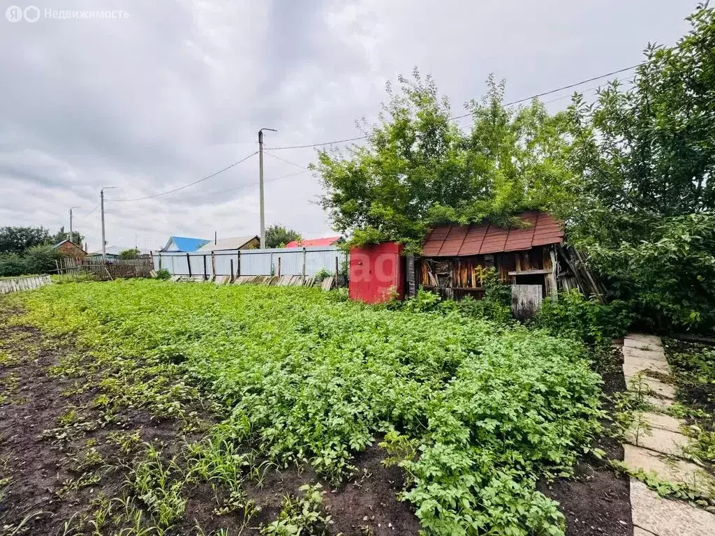 Участок в Мелеуз, улица Воровского (6 м) - Фото 1