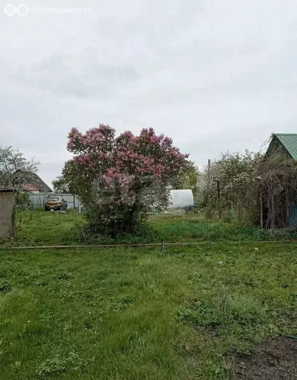 Дом в Воронеж, СНТ Берёзка, 11-я линия (30 м) - Фото 1