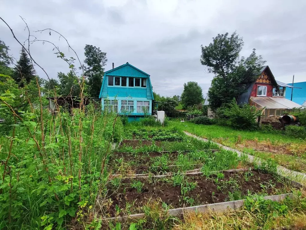 Участок в Камчатский край, Елизовский район, Луч СНТ  (6.0 сот.) - Фото 1
