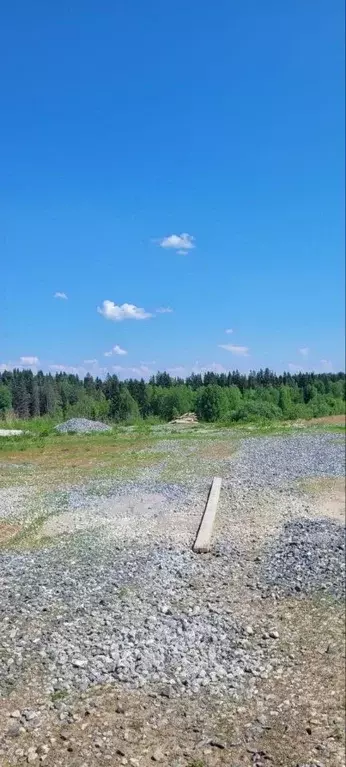 Участок в Кемеровская область, Кемерово Лесная Поляна жилрайон,  (24.5 ... - Фото 2