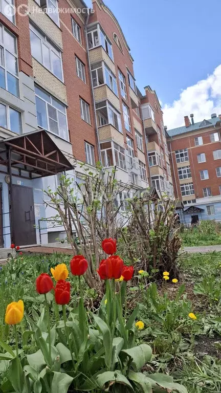 1-комнатная квартира: Вологда, улица Гагарина, 2Ак6 (40.7 м) - Фото 0