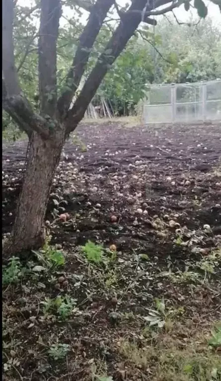 Участок в Башкортостан, Кармаскалинский район, Кабаковский сельсовет, ... - Фото 1