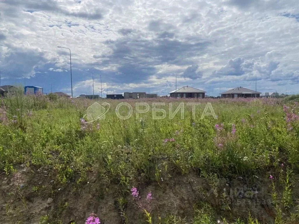 Участок в Тюменская область, Тюменский муниципальный округ, Онегин кп  ... - Фото 1