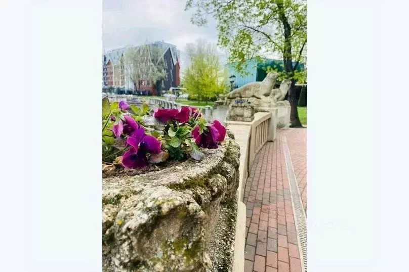 2-к кв. Калининградская область, Калининград ул. Молочинского, 15 ... - Фото 1