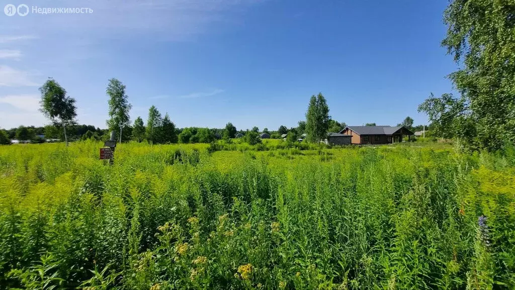 Участок в Нижегородская область, муниципальный округ Бор, деревня ... - Фото 0
