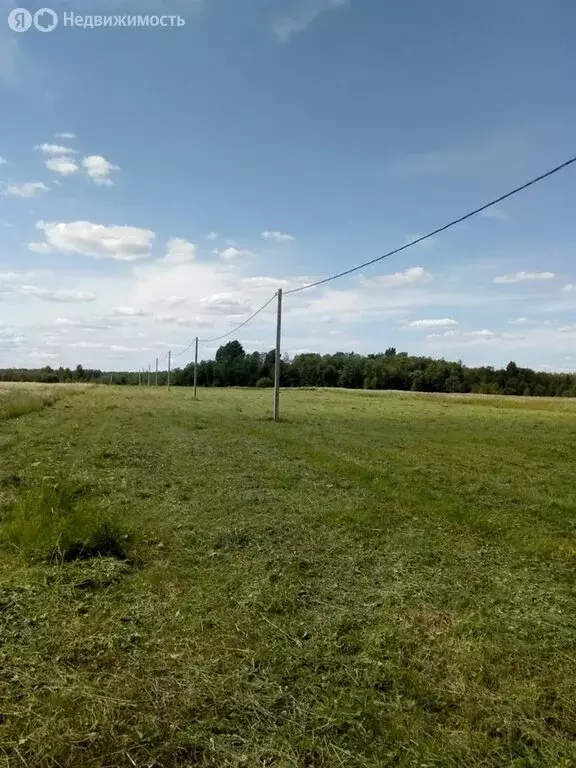 Участок в Мшинское сельское поселение, деревня Большая Ящера (15 м) - Фото 2