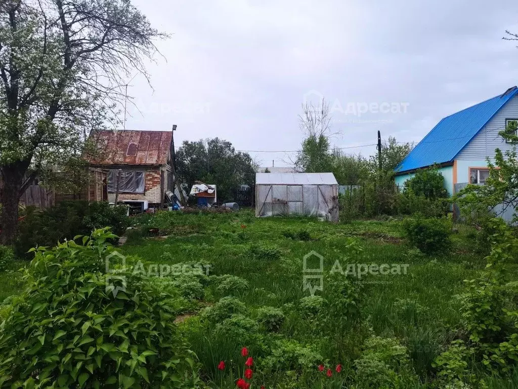 Дом в Волгоградская область, Волгоград Прогресс СНТ,  (26 м) - Фото 2