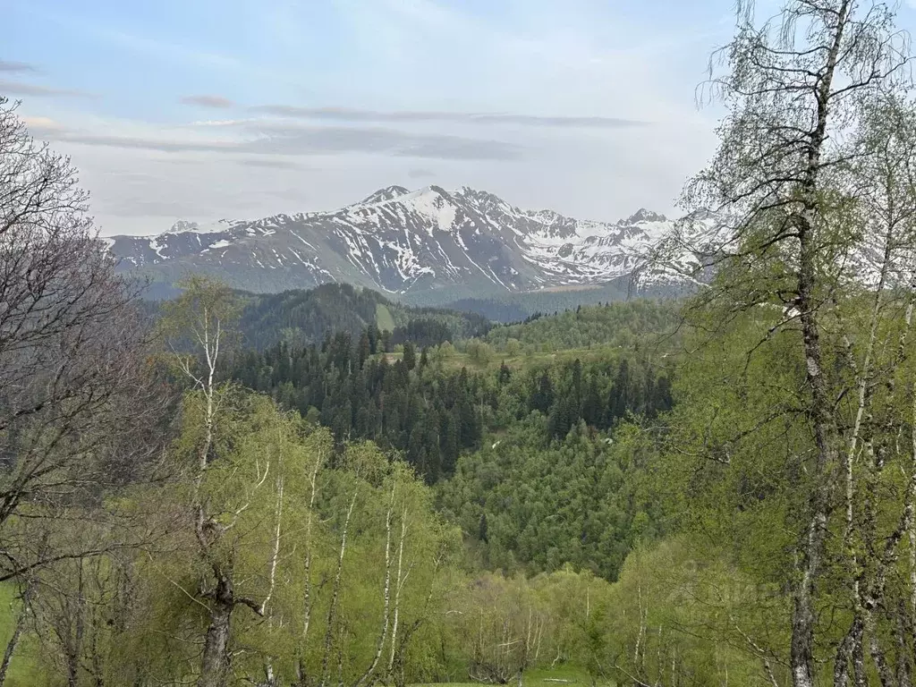 Участок в Карачаево-Черкесия, Зеленчукский район, с. Нижняя Ермоловка  ... - Фото 0