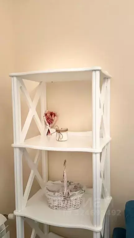 Студия Краснодарский край, Сочи Адлер жилрайон, ул. Троицкая, 31/2 ... - Фото 2