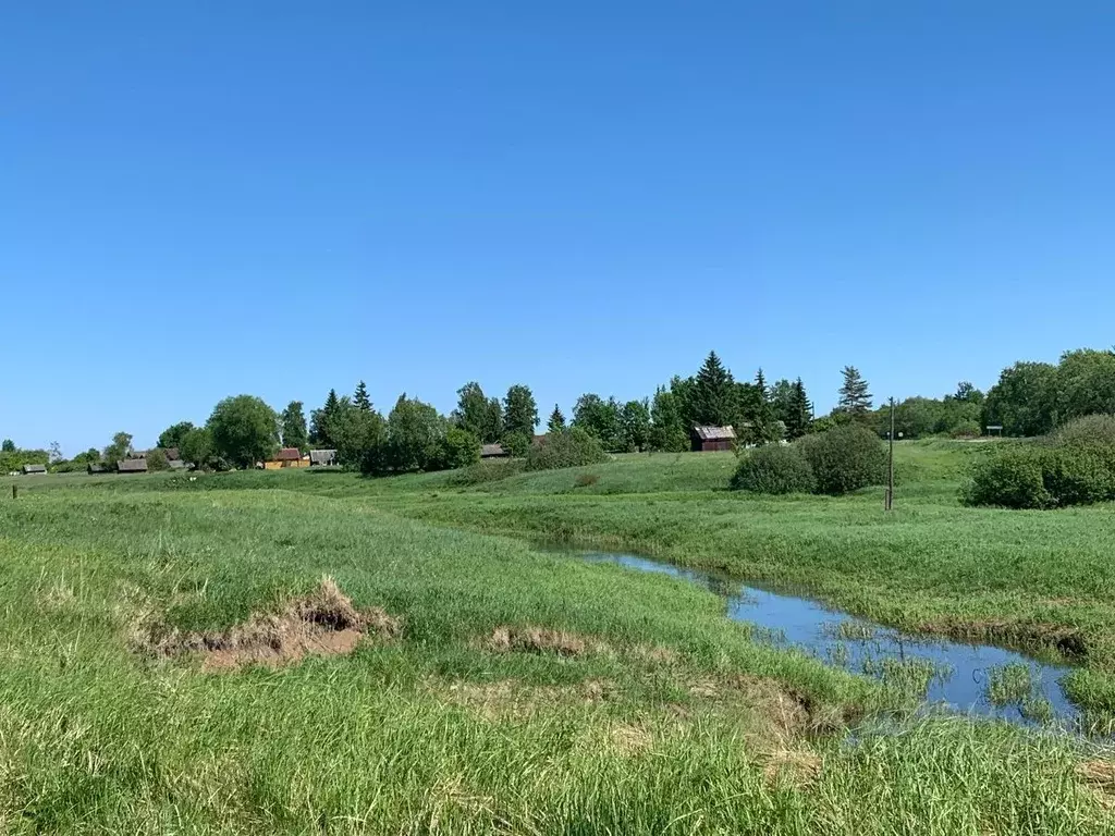 Участок в Новгородская область, Шимск рп  (9.0 сот.) - Фото 2