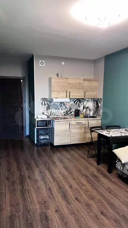 Квартира-студия, 24,6 м, 4/12 эт. - Фото 1