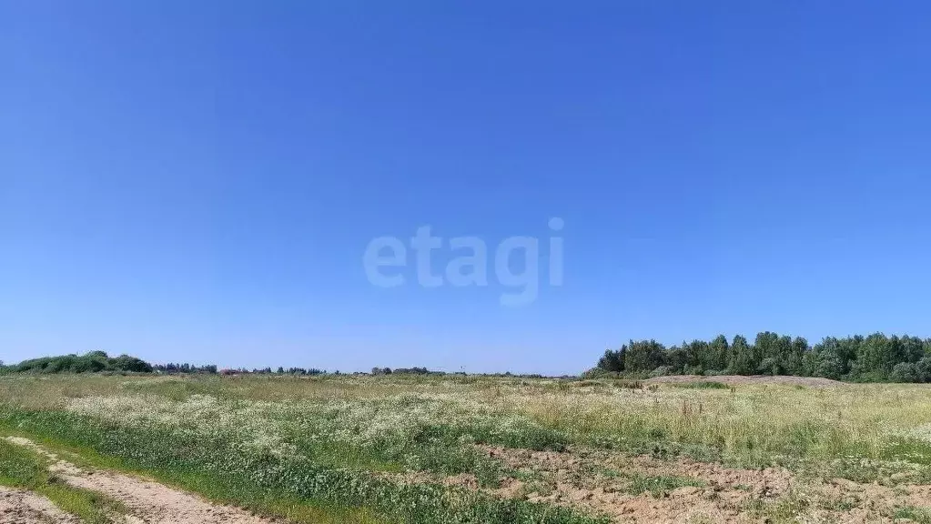 Участок в Ярославская область, Ярославский муниципальный округ, ... - Фото 0