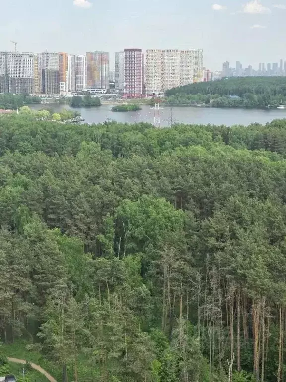 Студия Москва № 100 кв-л, 1к3 (20.0 м) - Фото 2