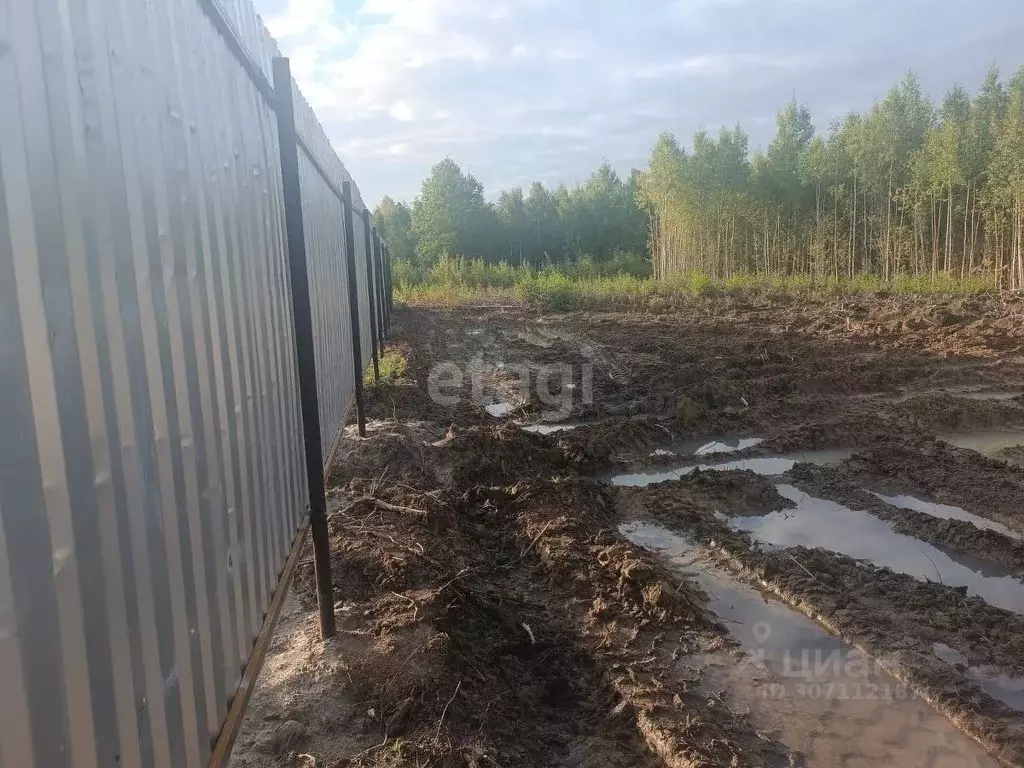 Участок в Ханты-Мансийский АО, Ханты-Мансийск Мир СОНТ,  (8.0 сот.) - Фото 1