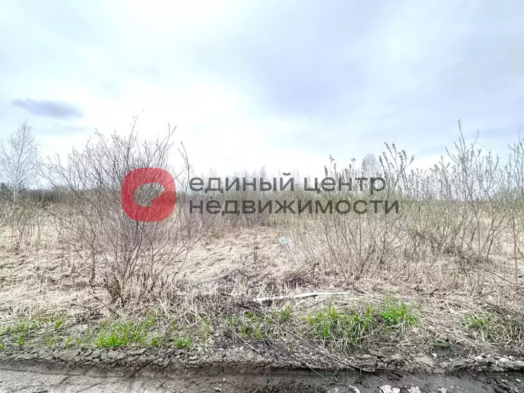 Участок в Тюменская область, Тюмень Поле Чудес садовое товарищество, ... - Фото 1