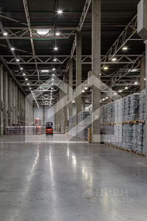 Производственное помещение в Московская область, Богородский городской ... - Фото 1