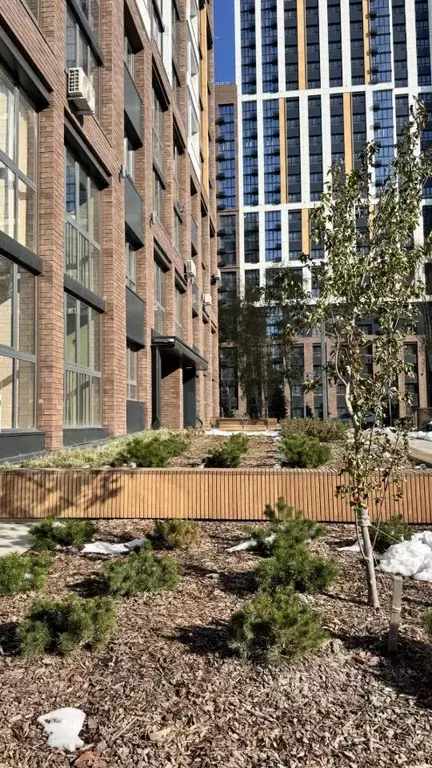 2-к кв. Алтайский край, Барнаул ул. 6-я Нагорная, 15Г/1к2 (64.2 м) - Фото 1