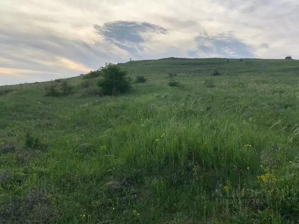 Участок в Крым, Симферопольский район, с. Доброе ул. Имени Х. ... - Фото 1