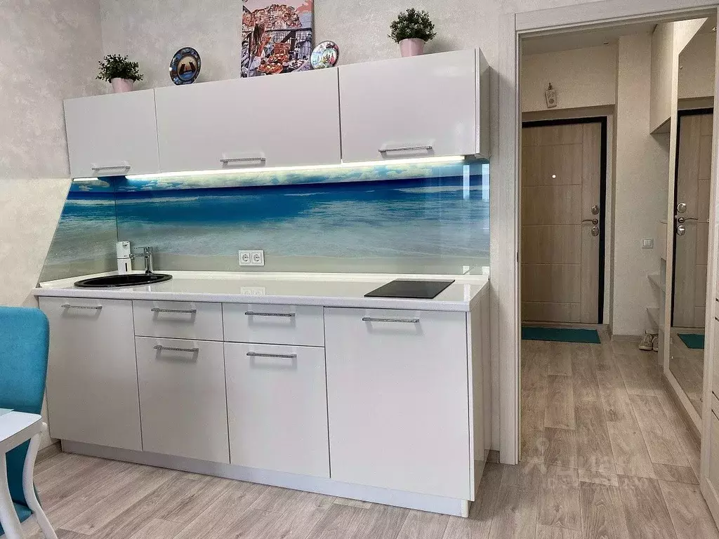 Студия Новосибирская область, Новосибирск Красный просп., 305 (27.0 м) - Фото 2