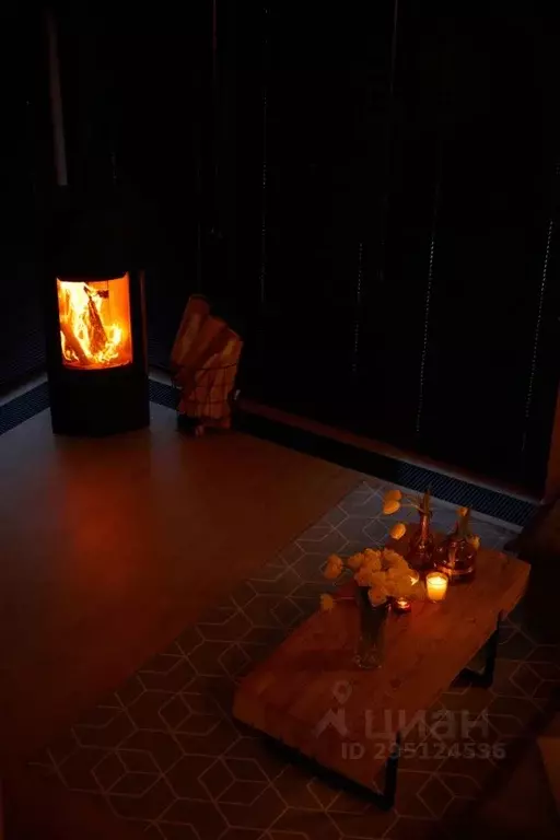 Дом в Алтай, Чемальский район, с. Узнезя ул. Звездная, 2Ак1 (50 м) - Фото 0