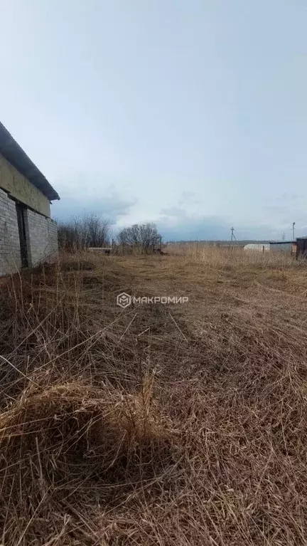 Участок в Челябинская область, Красноармейский район, Козыревское ... - Фото 0