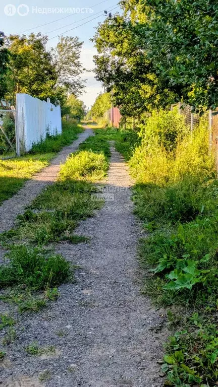 Участок в Нижегородская область, Дальнеконстантиновский муниципальный ... - Фото 2