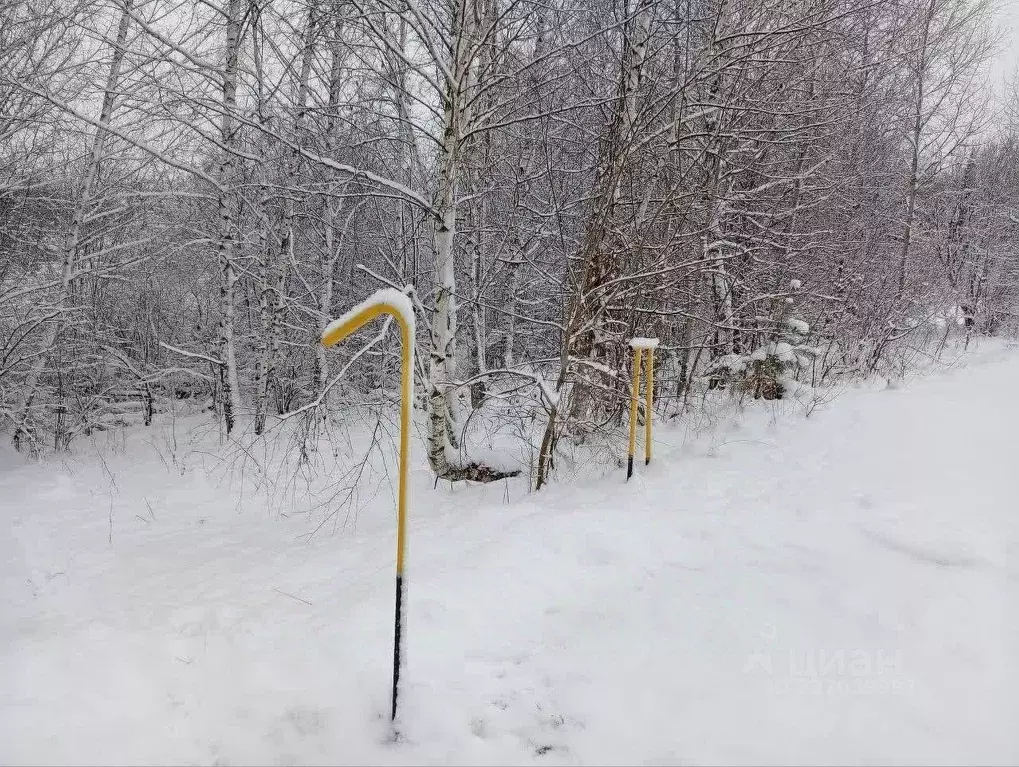 Участок в Алтай, Майминский район, с. Кызыл-Озек  (10.0 сот.) - Фото 1