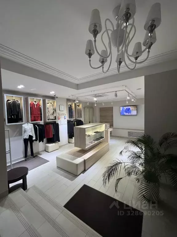 Помещение свободного назначения в Московская область, Павловский Посад ... - Фото 2