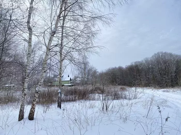 Участок в Калининградская область, Гурьевский муниципальный округ, ... - Фото 2
