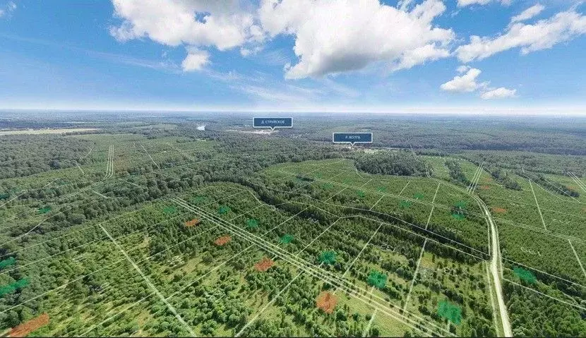 Участок в Тверская область, Ржевский муниципальный округ, д. ... - Фото 1